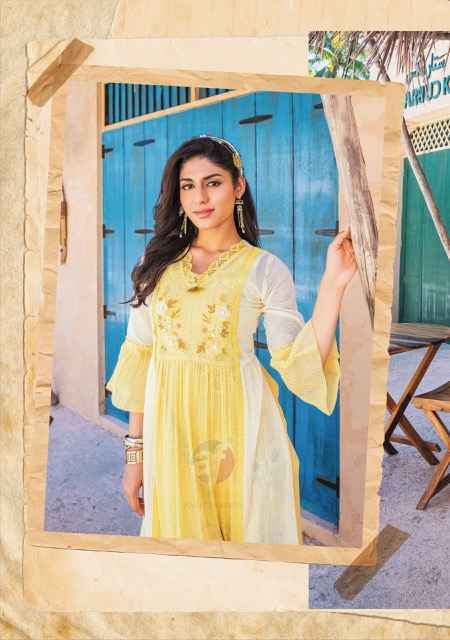 Anju Fabrics Status Vol-2 Georgette Kurti (6 pcs Catalogue)